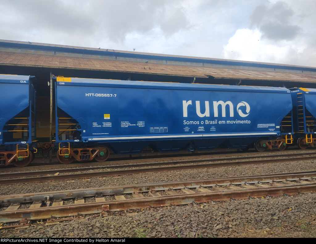 RUMO HTT-065657-7